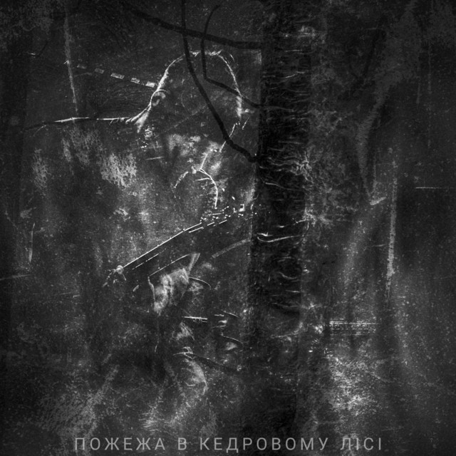 Обкладинка: Пожежа в кедровому лісі — Skiff