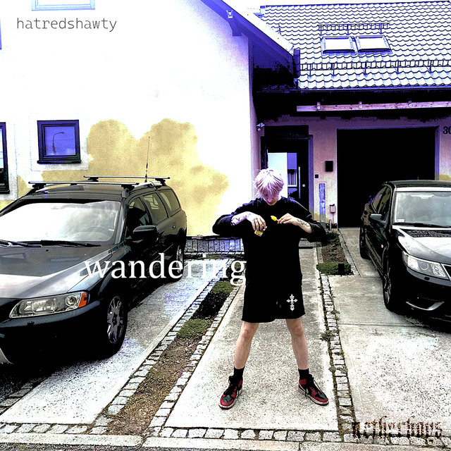 wandering cover art