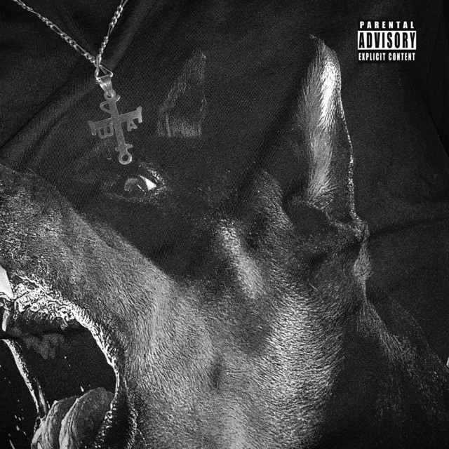 Underdog. cover art