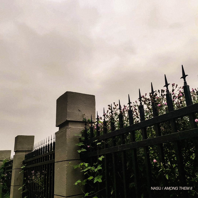 AMONG THEM ( II ) cover art
