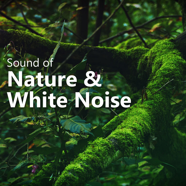 Sound of Nature & White Noise ! ! ! ! - Album by Sounds of Nature White ...