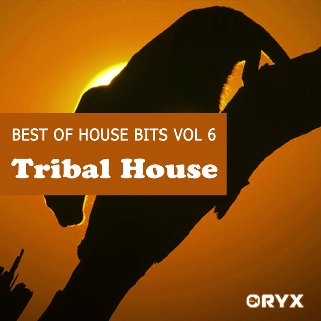 Best of House Bits Vol 6 - Tribal House & World Sounds cover