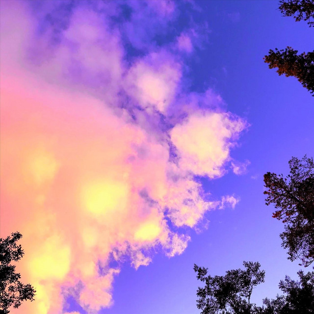 Shemwadee cover art
