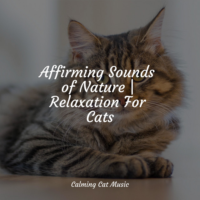Affirming Sounds of Nature | Relaxation For Cats - Album by Cat Music ...