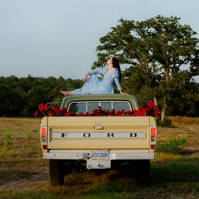 Fire cover art