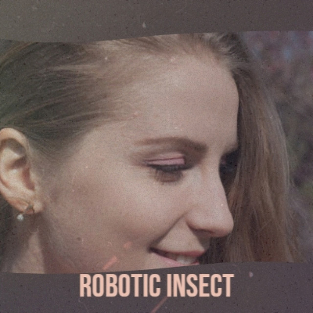 Robotic Insect cover art