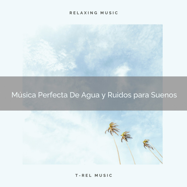 Música Perfecta De Agua y Ruidos para Suenos cover art