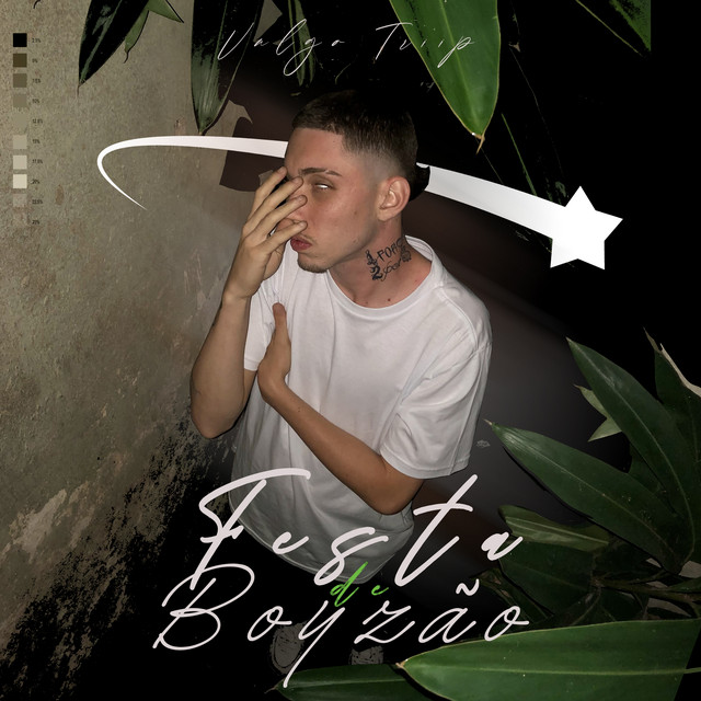 Festa de Boyzão