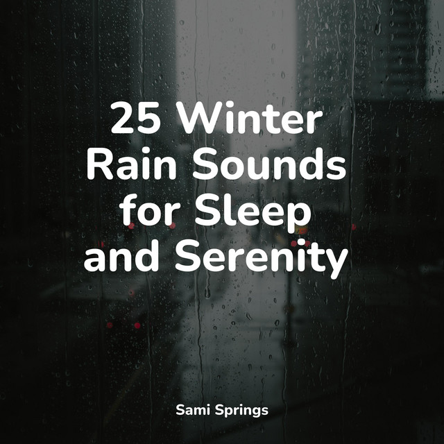 25 Winter Rain Sounds for Sleep and Serenity - Album by Internal Yoga ...