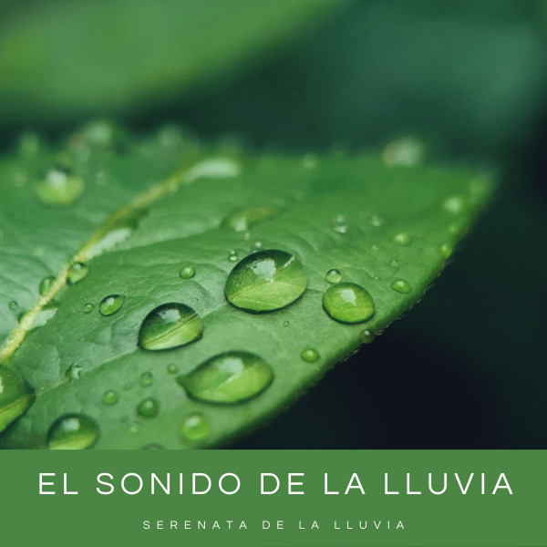 El Sonido De La Lluvia: Serenata De La Lluvia - Album by Mantra para ...