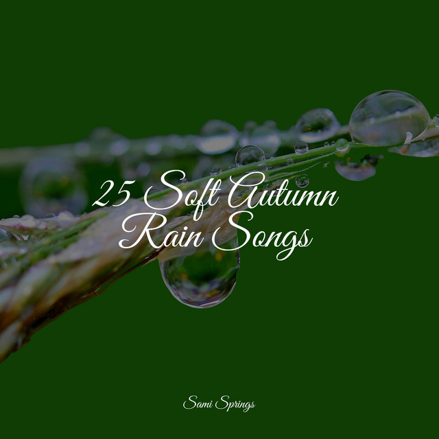25 Soft Autumn Rain Songs cover art