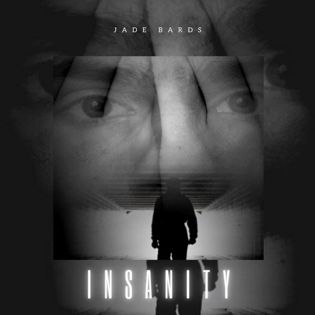 Обкладинка: Insanity — Jade Bards