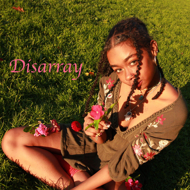 Disarray cover art