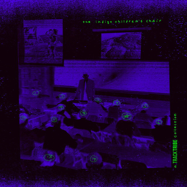 The Indigo Children's Choir cover art