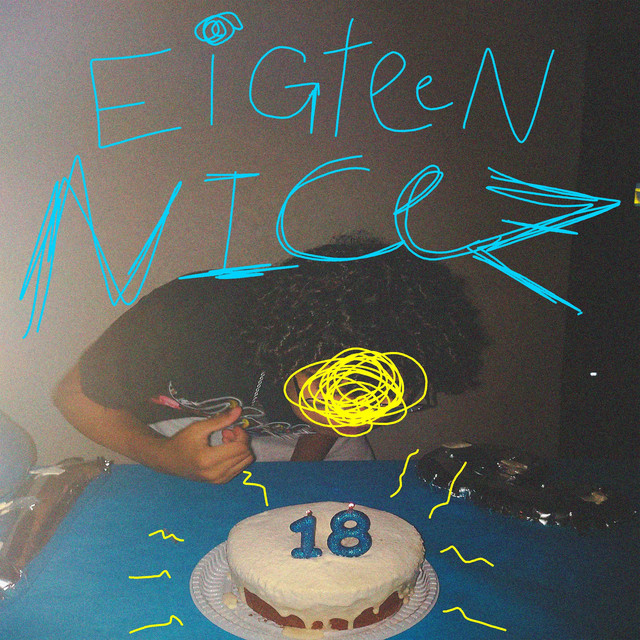Eighteen Nicez cover art
