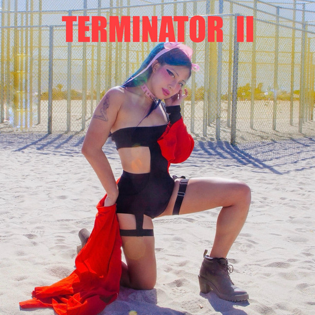 Terminator II album image