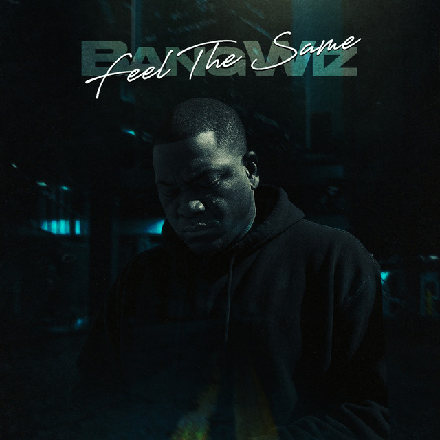 BangWiz - Feel The Same
