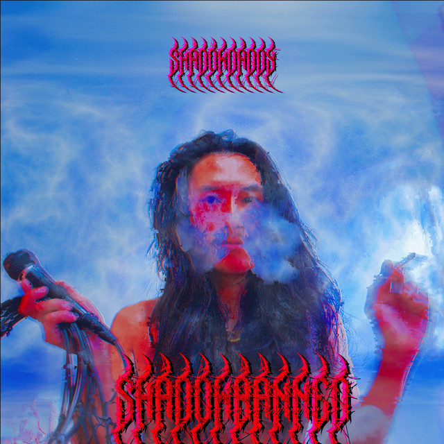 Shadowbanned cover art
