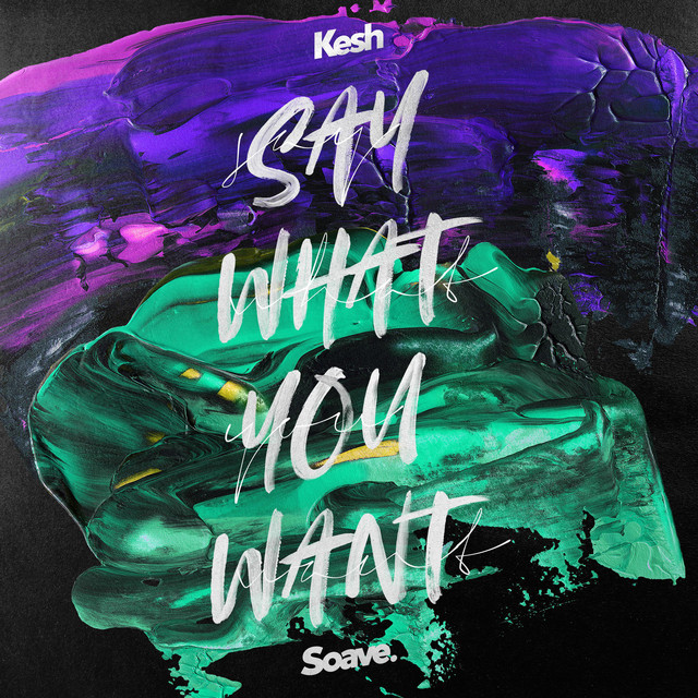 Say What You Want cover