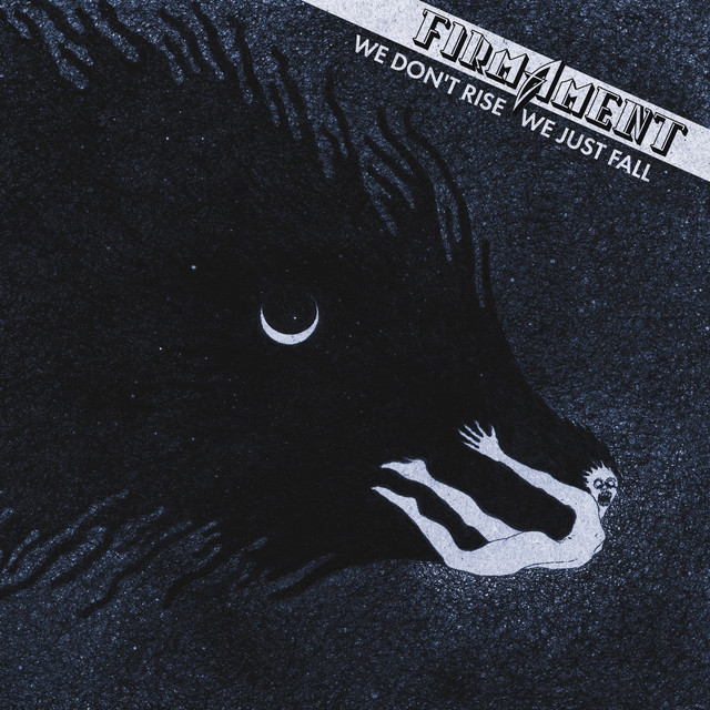 We Don't Rise We Just Fall cover art