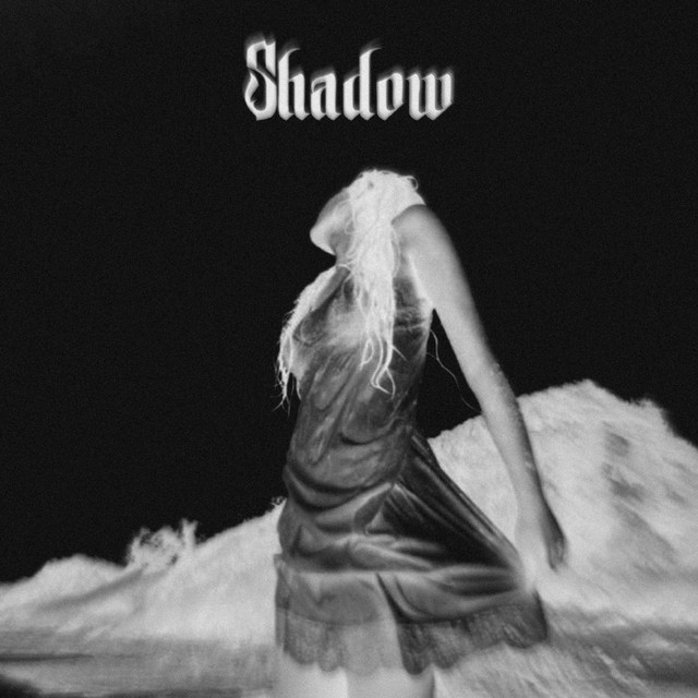 Shadow cover art