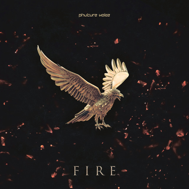 Fire cover art