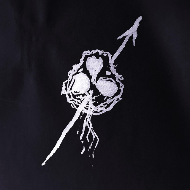 Skeleton cover art