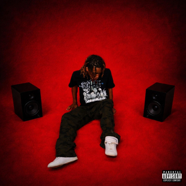 ZO cover art