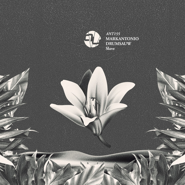 Slave album art