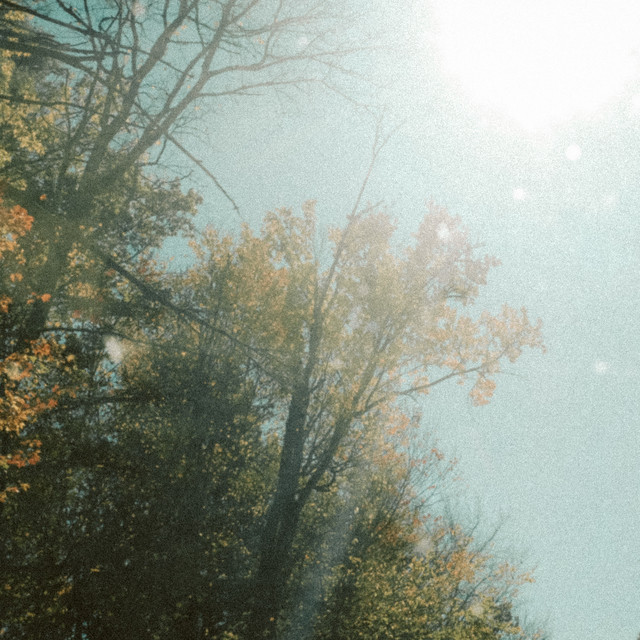 Leaves cover art