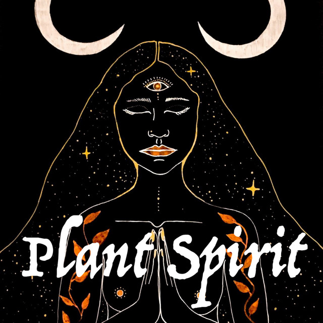 Обкладинка: Plant Spirit — VadimoooV