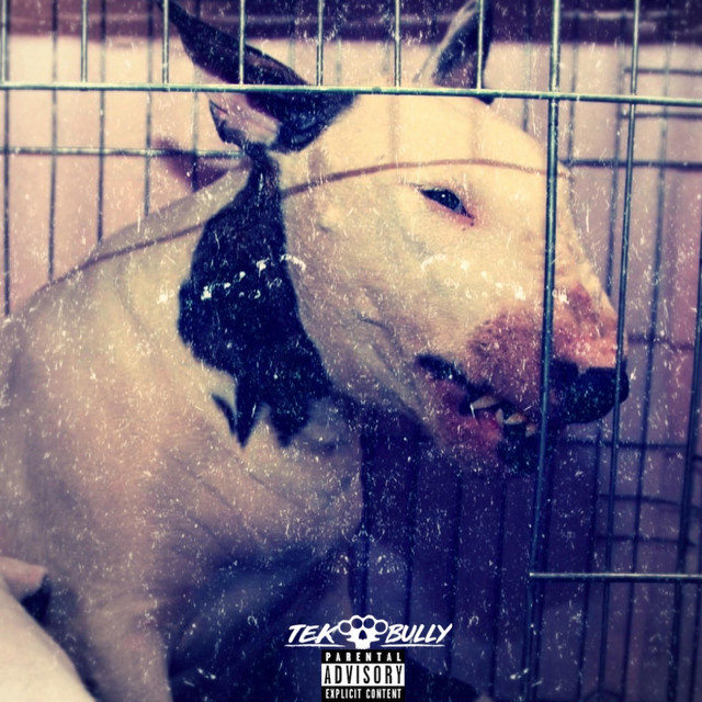 No Muzzle cover art