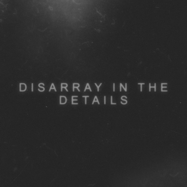 Disarray in the Details / Serrated Wings album image