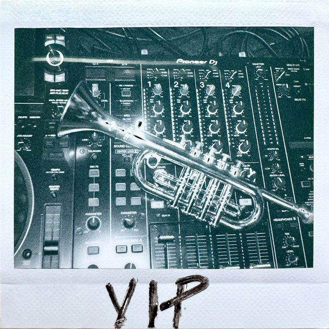 Cover du titre Circles (VIP Mix)