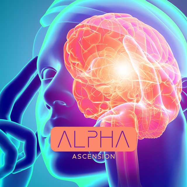 Mind Elevation cover art