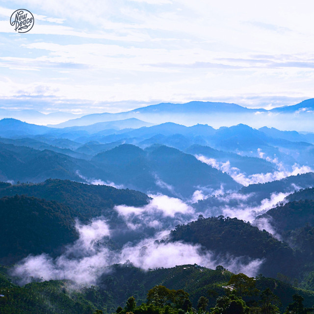 Listen, in my Silence