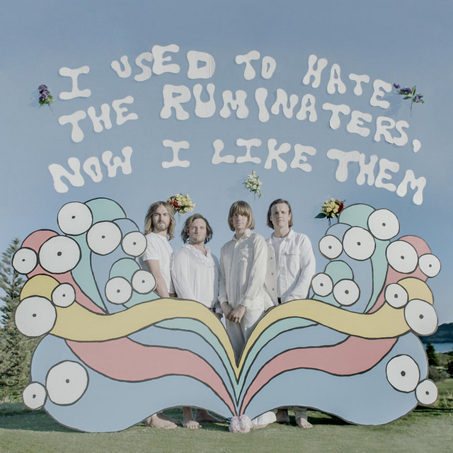 I Used to Hate the Ruminaters, Now I Like Them cover