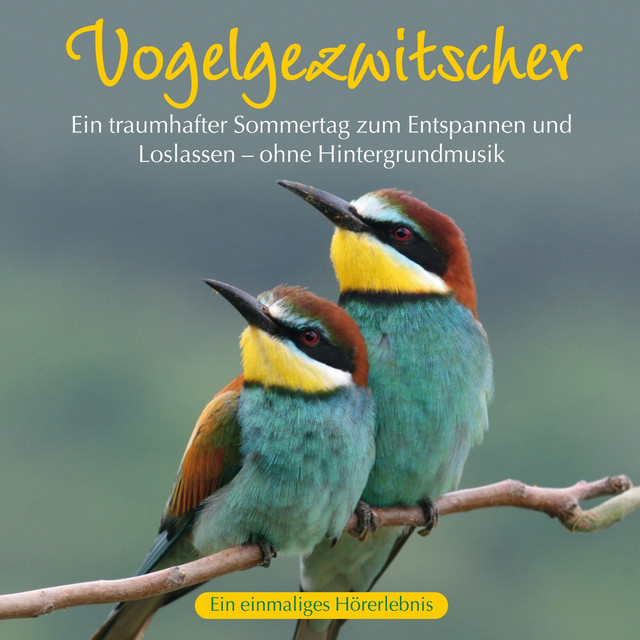 Vogelgezwitscher: Ein traumhafter Sommertag cover art