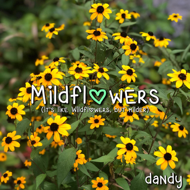 Mildflowers cover art