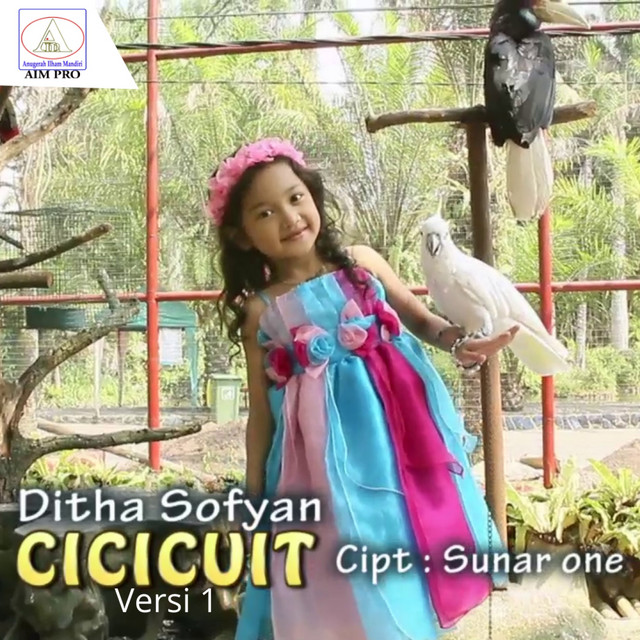Cicicuit cover art