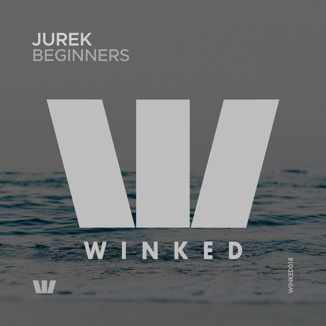 Beginners cover art