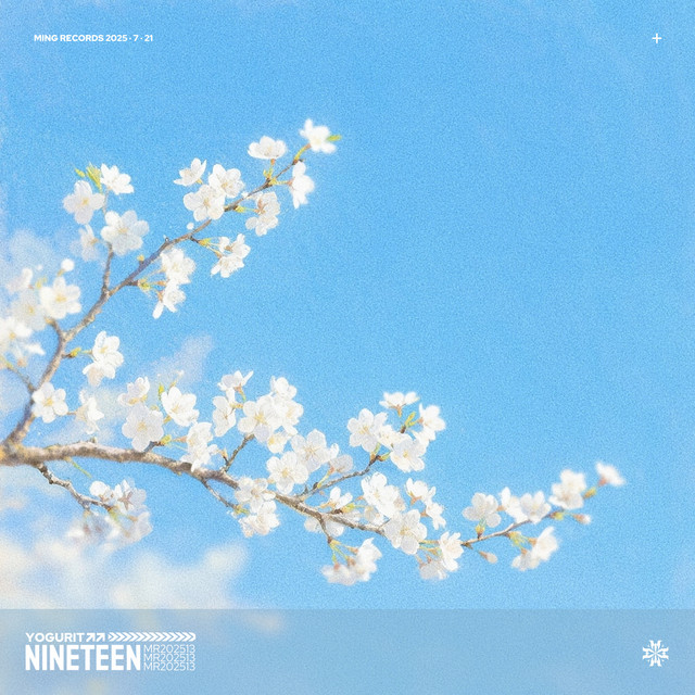 Nineteen