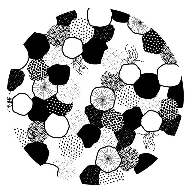 Sichtexotica II cover art
