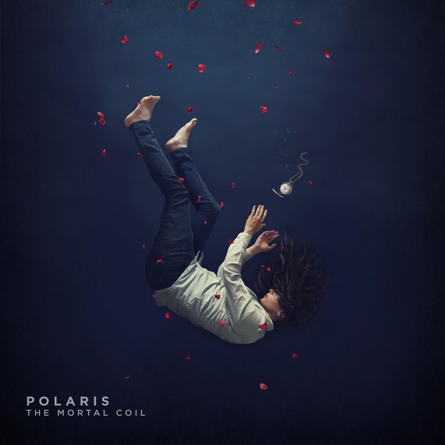 The Remedy cover art
