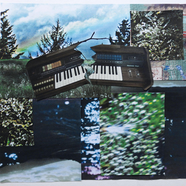 I SPLIT MY ORGAN IN TWOS cover art