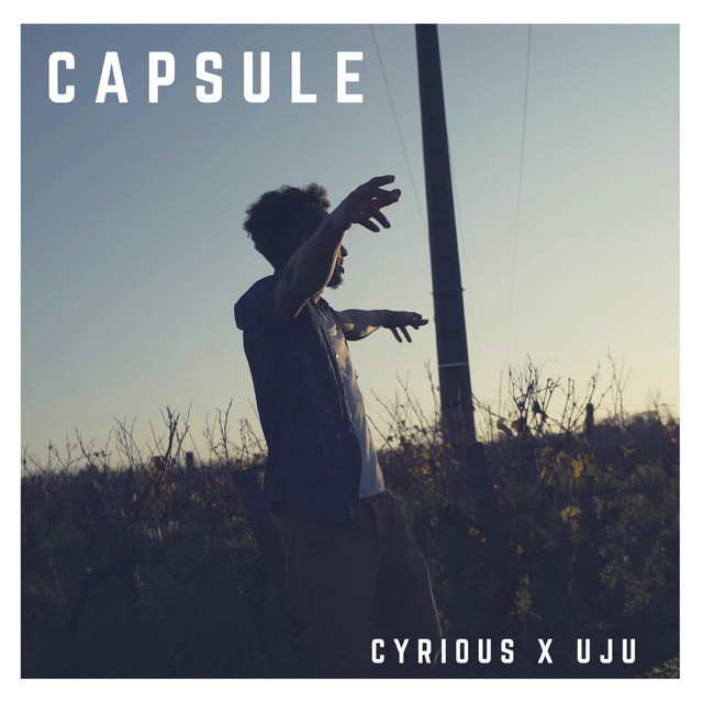 Capsule cover art