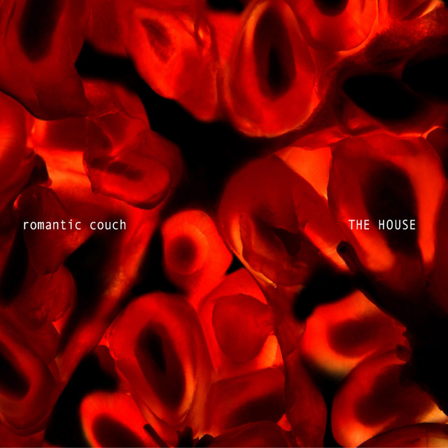 Star Bossa cover art