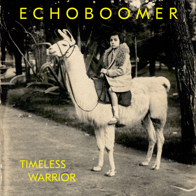 Timeless Warrior cover art