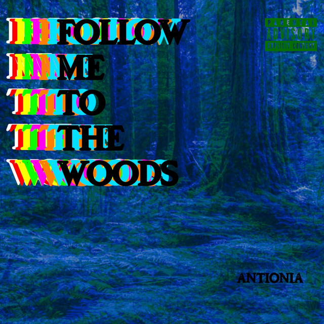 Follow Me To The Woods cover art