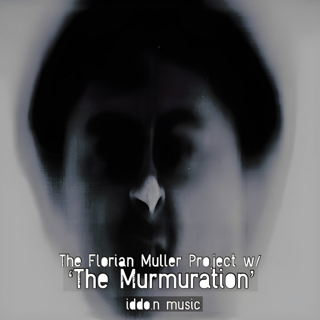 Murmuration - kiddo/s midnight jam cover art